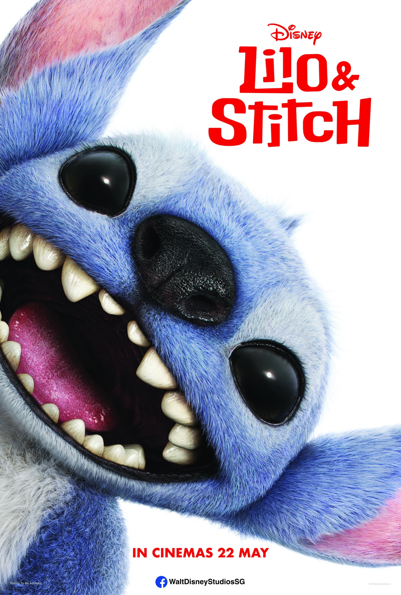 [TIC10ADU01SINGLE] Disney's Lilo &amp; Stitch (2D)