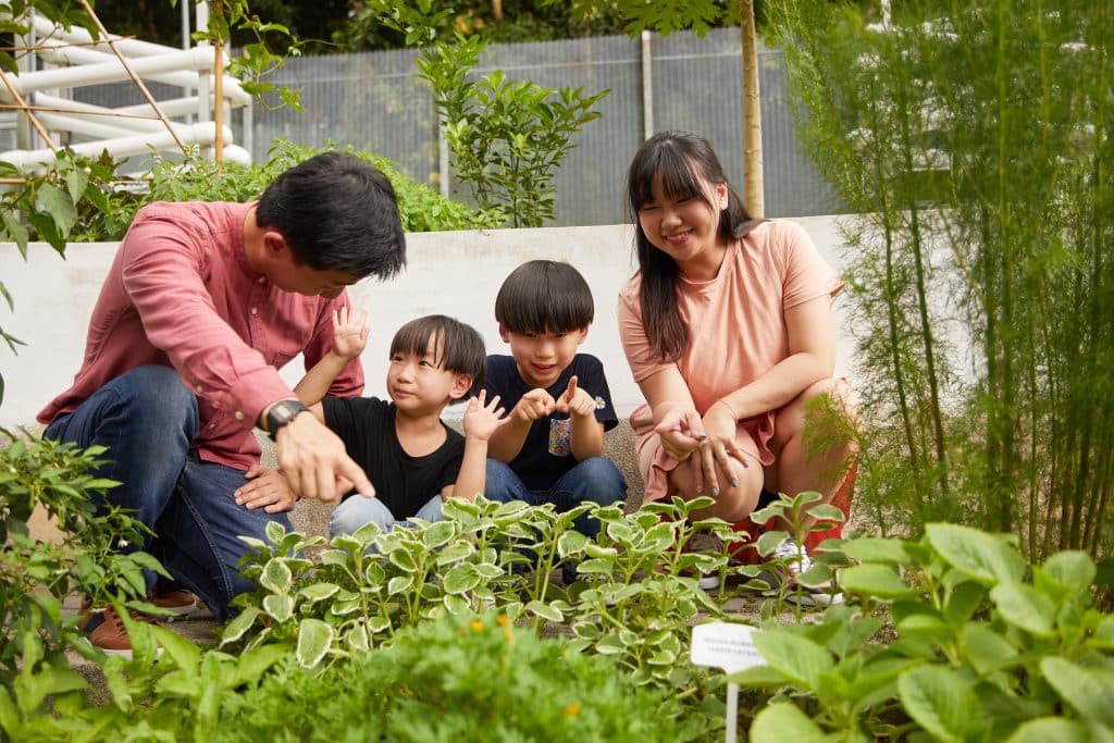 sustainability tours singapore